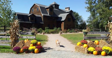 Liberty-Ridge-Farm