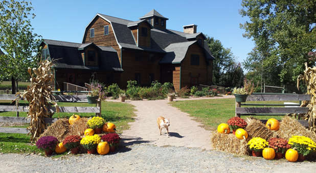Liberty-Ridge-Farm