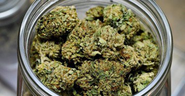 pot